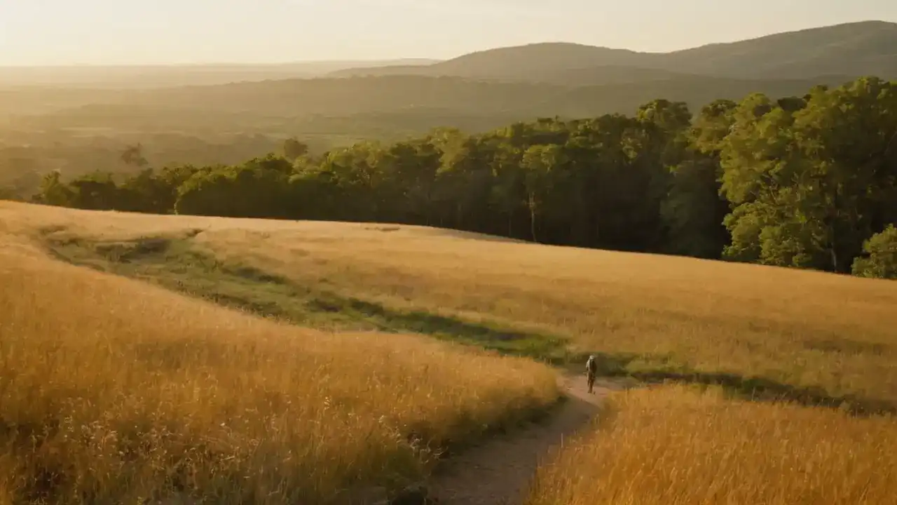 Campo dorado, figura tranquila y vasto