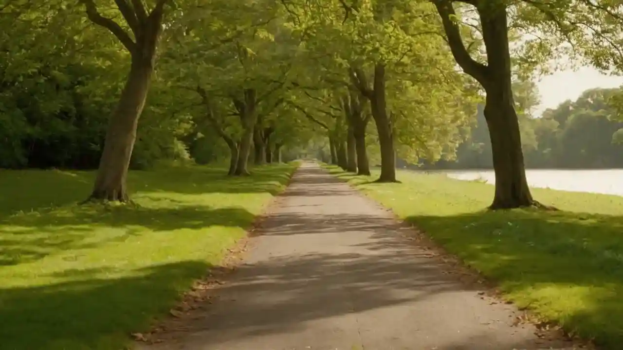 Un corredor camina por un parque sereno