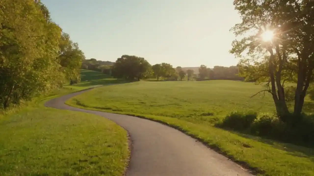 Sol, movimiento, parque, paz y distancia