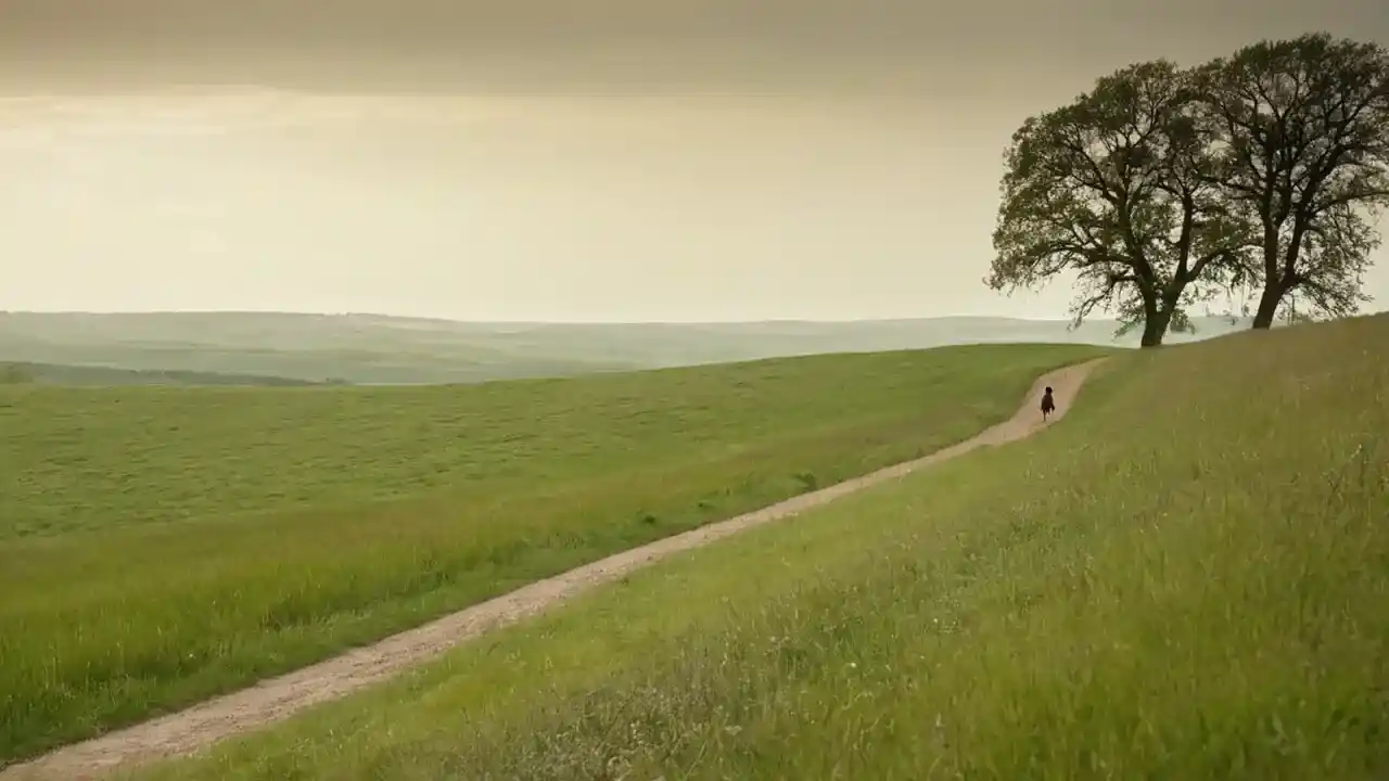 Corredor solitario en campo tranquilo