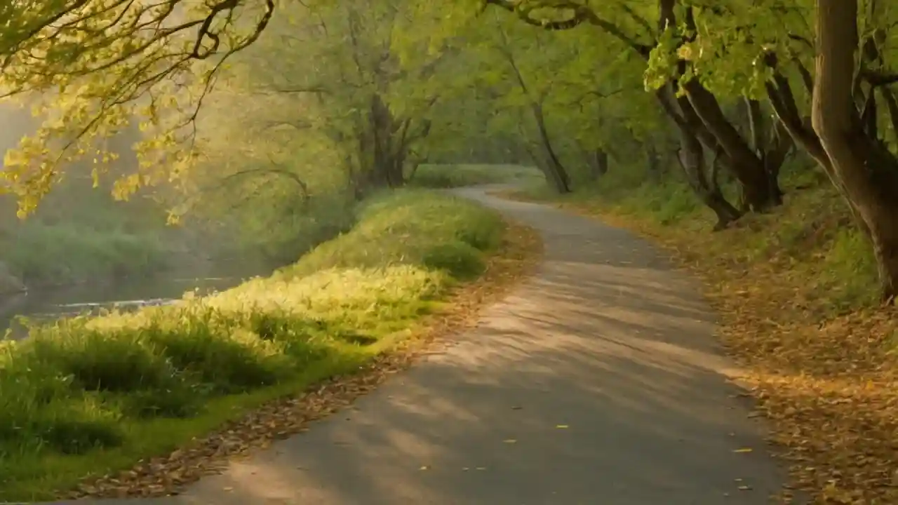 Parque urbano: senderos, luz y sombras