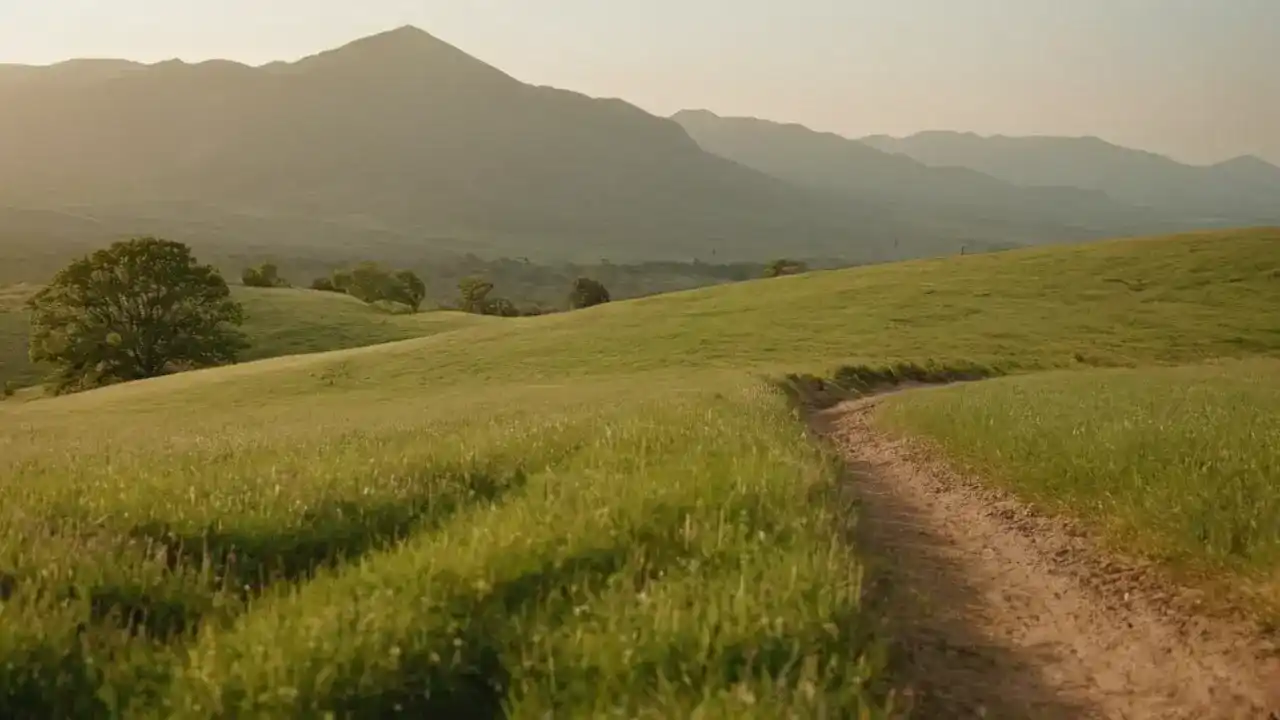 Corredor solitario en paisaje rural sereno